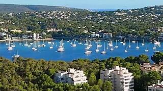 Camera Lady Lyne Demonstrates Intense Threesome Action