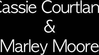 Two milfs were having lesbian fun, fingering and fucking with dildos in lingerie.