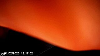 this homeless girl is really blowing my cock in the car