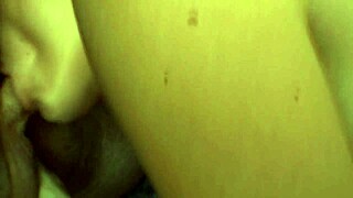 slut brunettes participate in horny group orgy with blowjobs
