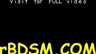 t beautys fuck holes