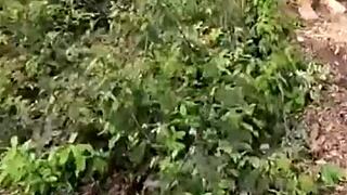 Real couple fucking in the mountain outdoors.