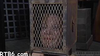 Sadomasochism Queens in Bondage: Ball Licking, Blowjob, Bent Over Doggystyle Fucking, Spanking, Rough Sex