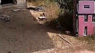 Real couple fucking in the mountain outdoors.