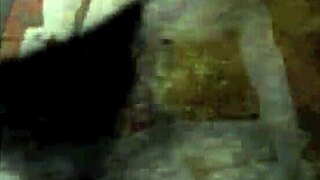 Exploring vintage erotic art collection 😊