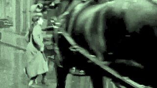 Secret Life of Hairy Beaver