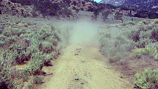 Lauren Phoenix Gets Fucked By The Pond