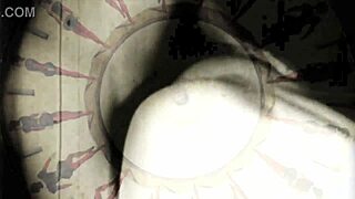 Secret Life of Hairy Beaver