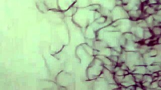 I-I say, don't cum inside please, I don't want to get pregnant