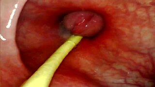 Anal POV Camera Inside Her Asshole as I Pound Her with Big Cock and Cum Deep