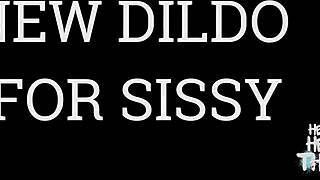 new violet dildo for my sissy bich