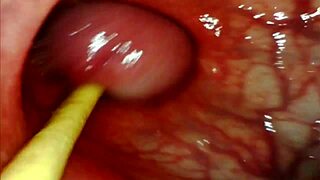 Anal POV Camera Inside Her Asshole as I Pound Her with Big Cock and Cum Deep