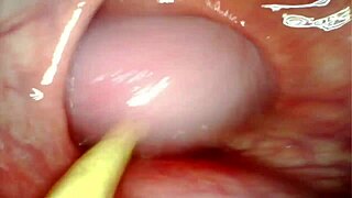 Anal POV Camera Inside Her Asshole as I Pound Her with Big Cock and Cum Deep