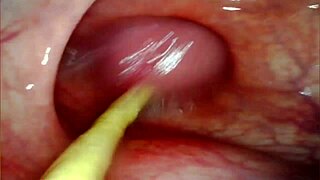 Anal POV Camera Inside Her Asshole as I Pound Her with Big Cock and Cum Deep