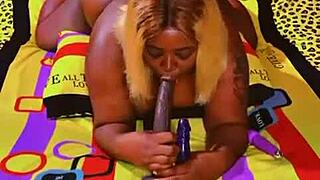 Sundaydogood614 Update 589 Video Nov 03 2024