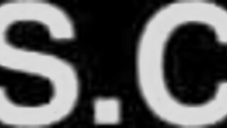 Female Fighters Get Sweaty in and Out of the Ring