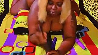 Sundaydogood614 Update 589 Video Nov 03 2024