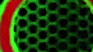 Ms. Julia Ann shines as the sexiest teacher ever! 😍