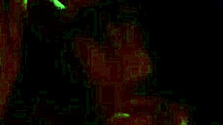 Wow, this tattooed Latina mommy sucks dick so deliciously 😋