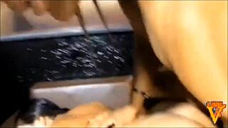 Latina milf prostitute enjoys forceful anal assfucking, feeling intense pleasure and orgasm