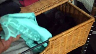 Danica Dillion Lets Her Stepson Have Her Panties And Show Him Her Milf Pussy