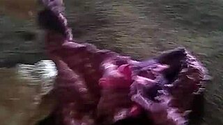 my sister's panties are driving me crazy