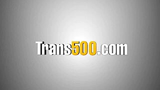 Ladyboy enjoys blowing and getting anal ride from big cock