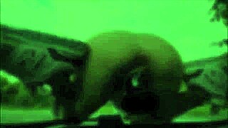 jacky joy's shaved teen pussy gets pounded hard by older stud