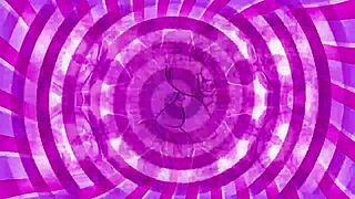 YES! Neural Sissy Cock Training Adaptation Begins!