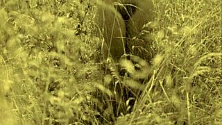 Ever wonder about the wildest vintage naturist beach secrets in my top twenty?