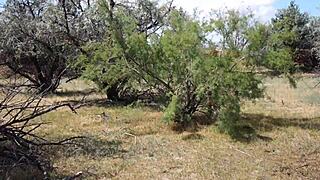 SHY ABORIGINAL MILF DANCES OUTDOORS IN COSTUME COSPLAY