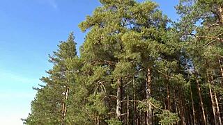 Fishnet bodystocking hides secrets worth uncovering step by step