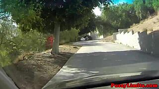 Leashed Skank ROUGH POUNDED DOGGYSTYLE in Garage