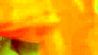 sundaydogood614 shares update 493 video from sep 19 2024