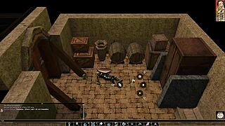 hey lets play neverwinter nights... nude tits out and fuck questline??