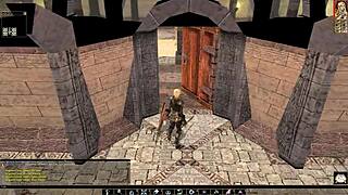 hey lets play neverwinter nights... nude tits out and fuck questline??