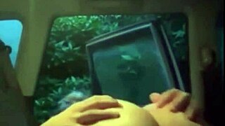 i couldn't resist fucking my stepsis in the car during family thanksgiving ride