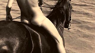 dark lantern shares victorian gentleman's secret erotic gay confessions