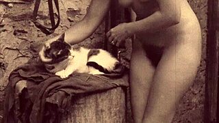 dark lantern shares victorian gentleman's secret erotic gay confessions