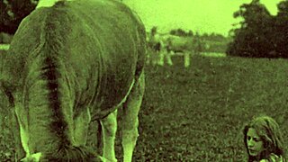 dark lantern shares victorian gentleman's secret erotic gay confessions