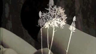 Victorian Gentleman's Confessions Showcase Top Flirtatious Grannies