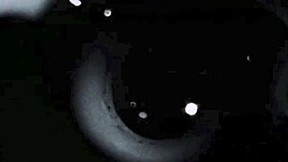 Victorian Gentleman's Confessions Showcase Top Flirtatious Grannies