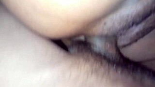 hey step bro, wanna fuck your step sis ass right now?