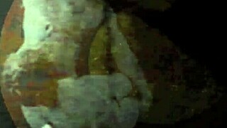 Vintage erotic art captures antique sensual poses beautifully