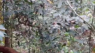 o cara pagou pra ve minha buceta no parque eu entrei no mato mostrei tudinho pra ele ai...