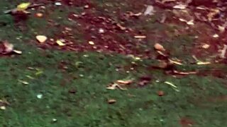 wife bends over in the garden, clueless i'm filming her juicy curves up close