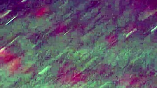 wife bends over in the garden, clueless i'm filming her juicy curves up close