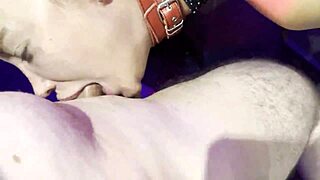 imagine dominating monika fox in brutal bdsm anal facefuck with piss and cum swallow