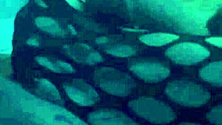 Sexy Nylons Leggings Footjob Tease Dripping Cum