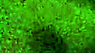 heather moore delivers dedicated oral performance